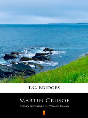 cover image of Martin Crusoe